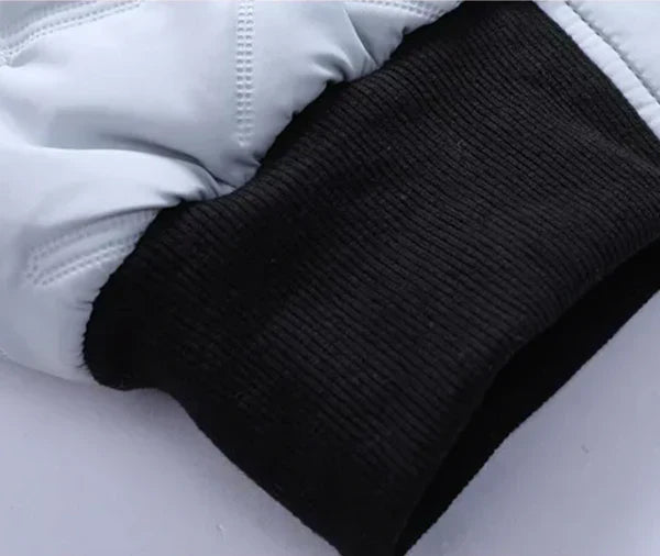 David® | Padded Jacket