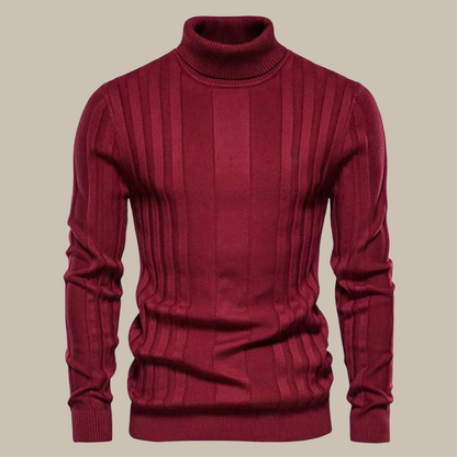 Cedric® | Fashionable turtleneck sweater