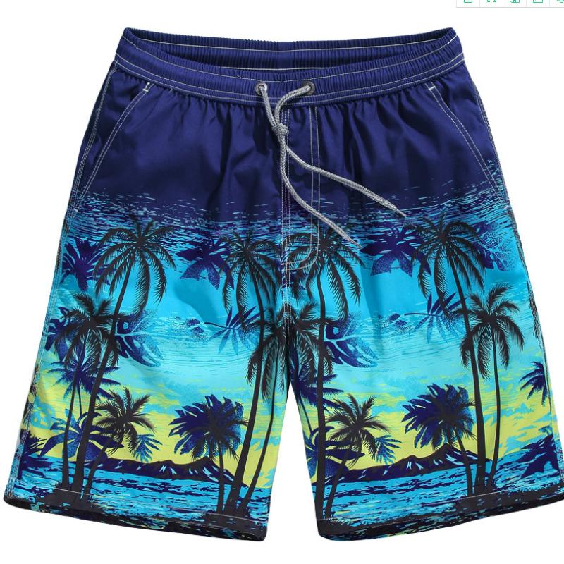 Ansel® | Summer Sports And Leisure Shorts