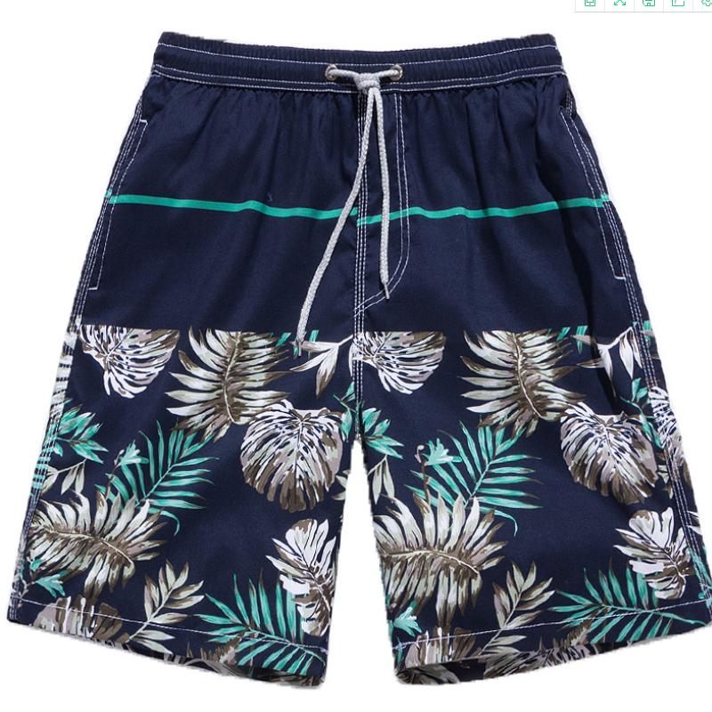 Ansel® | Summer Sports And Leisure Shorts
