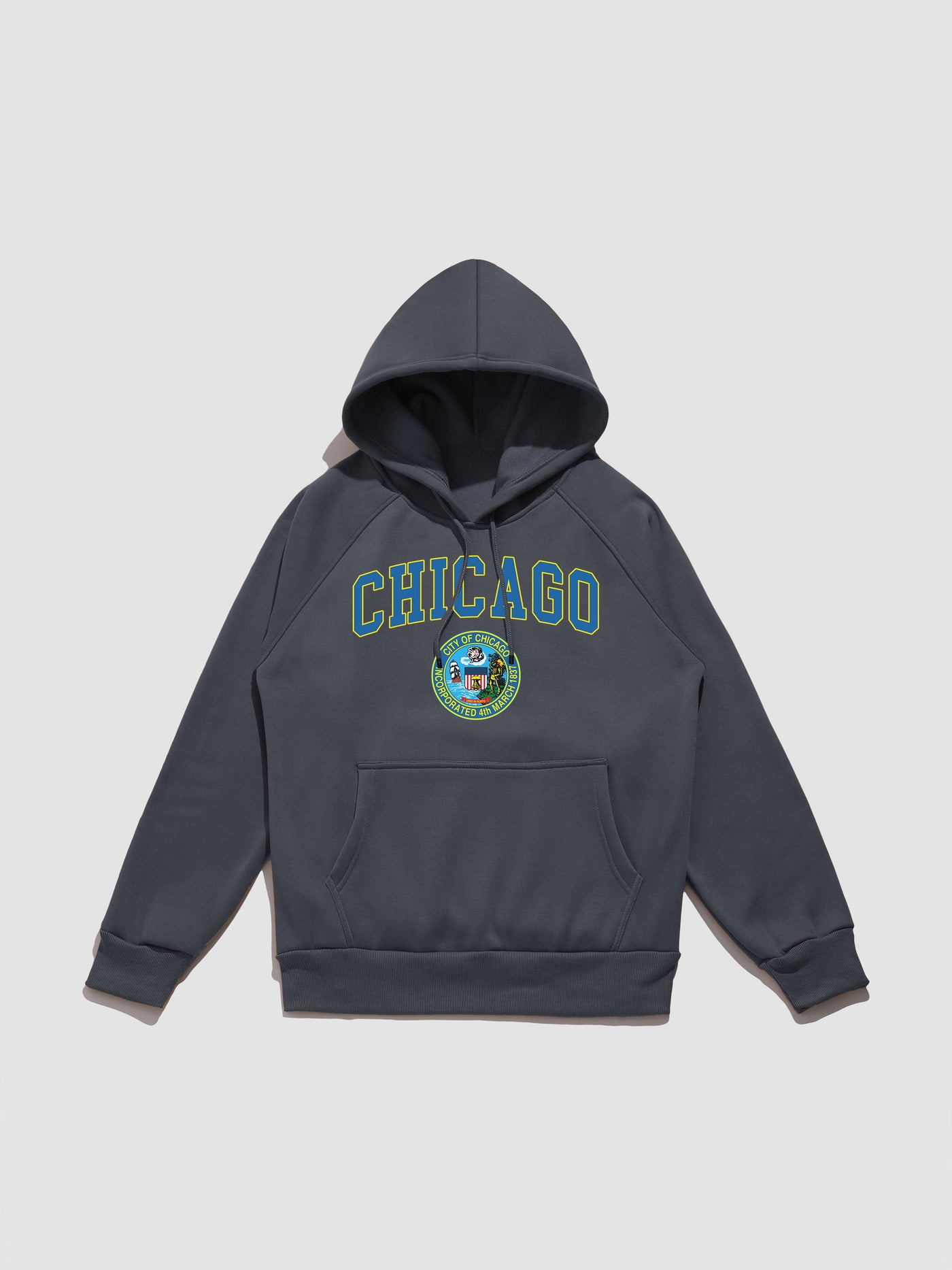 Hale | Chicago Print Hoodie