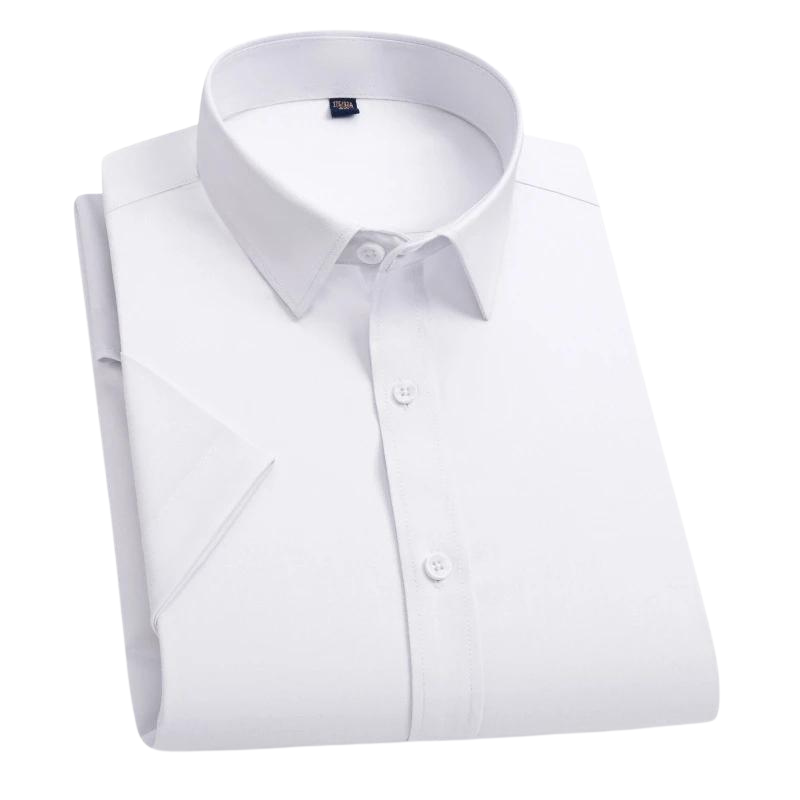 Lewin® | Anti-stain blouse with anti-crease fabric