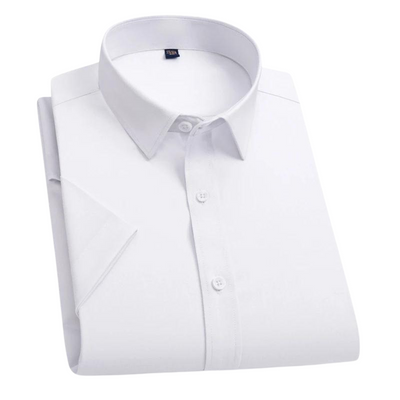 Lewin® | Anti-stain blouse with anti-crease fabric
