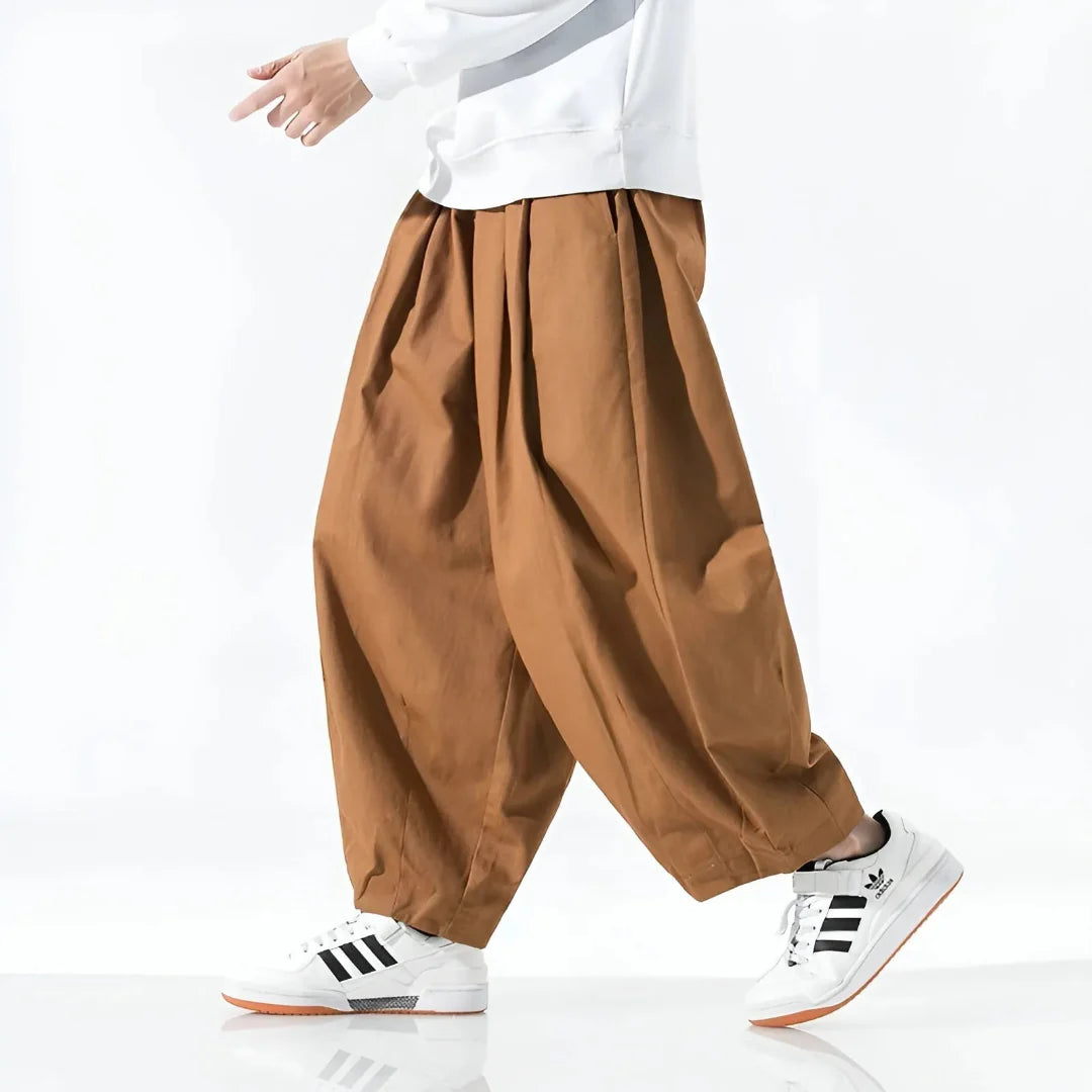 Filiberto | Elliott Oversized Pleated Cotton Pants
