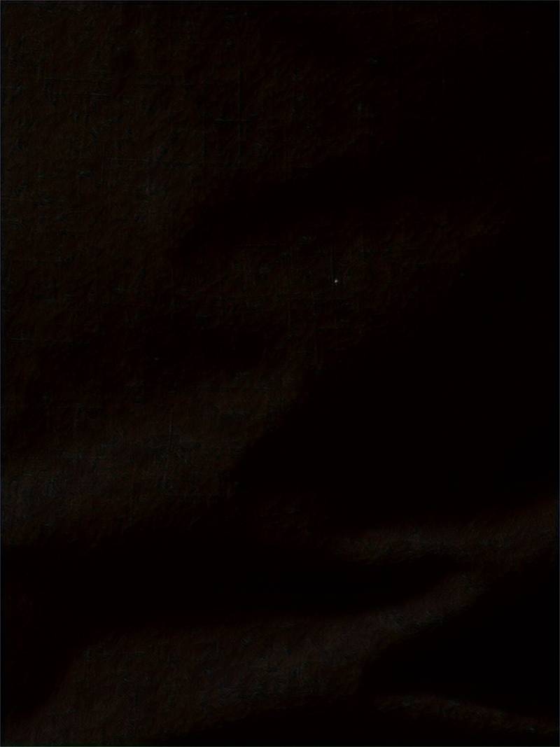 Dexter® | Long Sleeve Buttons