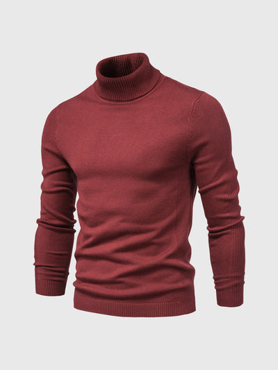 Celinus | Timeless turtleneck sweater in fine knit