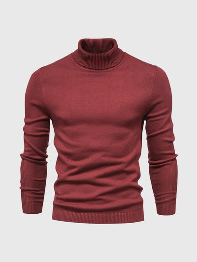 Celinus | Timeless turtleneck sweater in fine knit