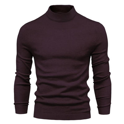 Men's Solid Color Turtleneck Pullover Knit Sweater
