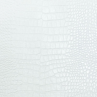 Idán | Modern leather jacket with stand-up collar and zipper